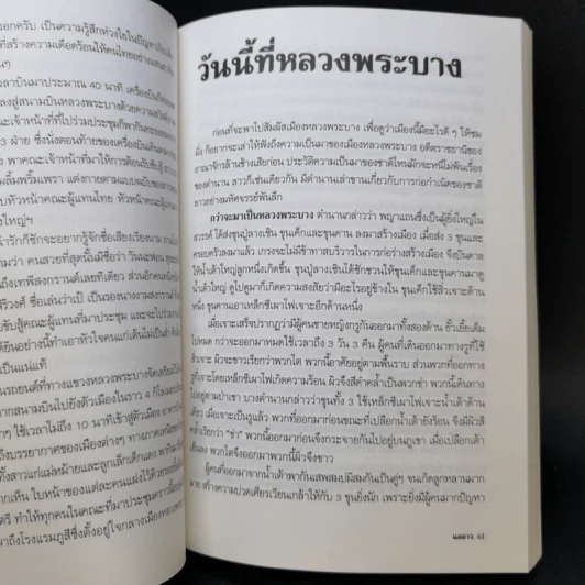 แลลาว - ขจัดภัย บุรุษพัฒน์ รูปที่ 11