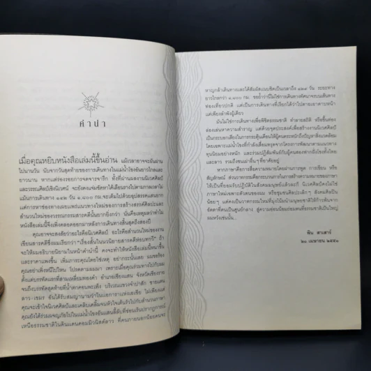 142 วัน 1,800 กม. นิเวศศิลป์ริมโขงของศิลปินนอกคอก - พิน สาเสาร์ รูปที่ 10