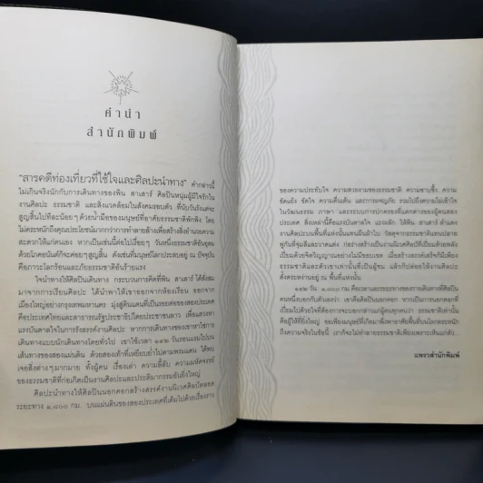 142 วัน 1,800 กม. นิเวศศิลป์ริมโขงของศิลปินนอกคอก - พิน สาเสาร์ รูปที่ 9