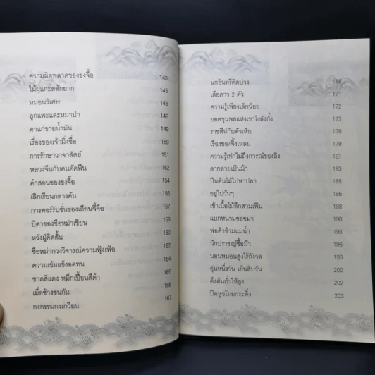 157 นิทานมังกร สอนสร้างตัวให้รวยเร็ว - วิชัย ตระกูลพัฒนกร รูปที่ 13