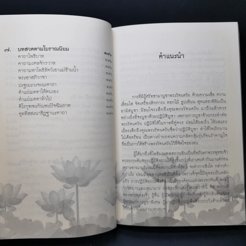 คู่มือไหว้พระพุทธคยา - พระเทพโพธิวิเทศ (วีรยุทโธ) รูปที่ 11