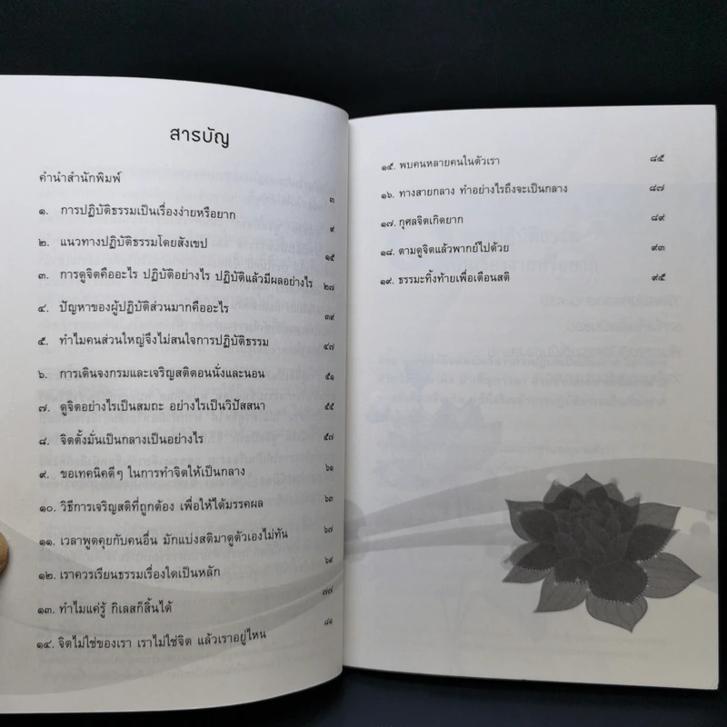 ดูจิตปีแรก - สันตินันท์ (หลวงพ่อปราโมทย์ ปาโมชโช) รูปที่ 9