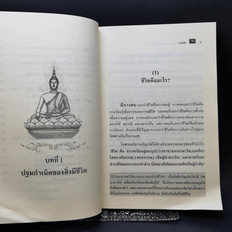 พระสัพพัญญุตญาณเหนือจักรวาล เล่ม 2 - เจตสิก รูปที่ 10