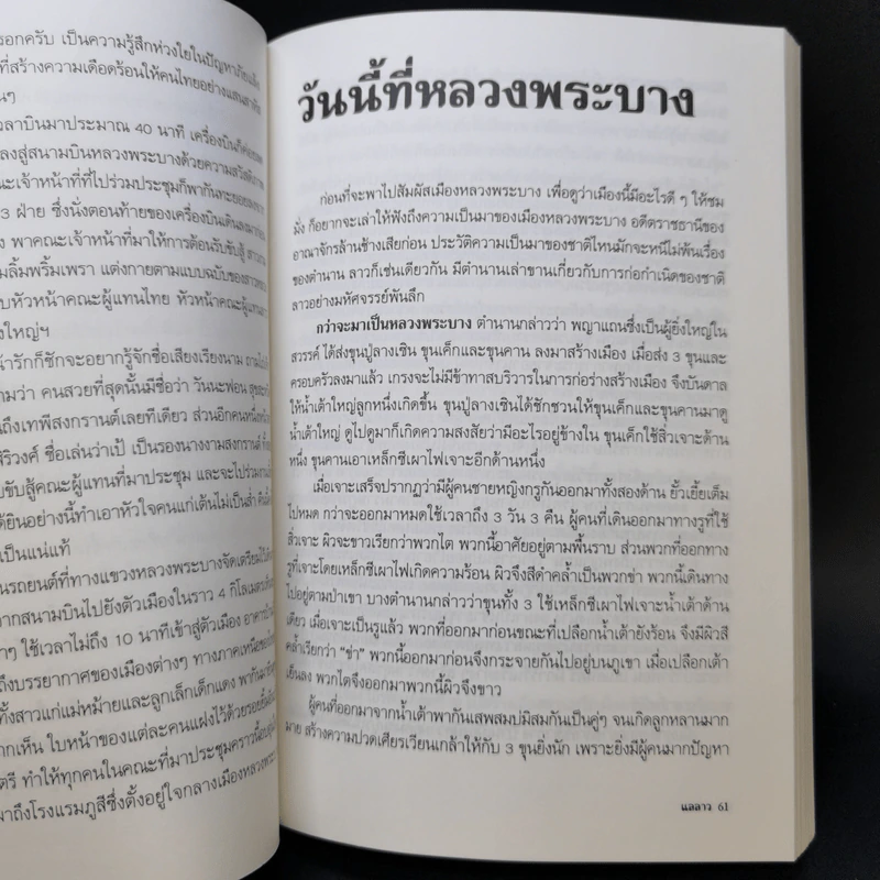 แลลาว - ขจัดภัย บุรุษพัฒน์ รูปที่ 11