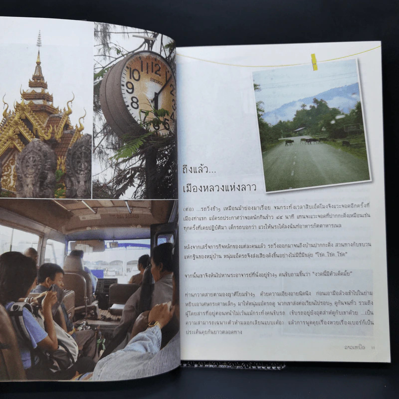 จำปาขาว ลาวหอม ลาวเหนือ - รวงทอง จันดา รูปที่ 11