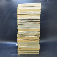 เรื่องธรรมดาของเธอกับฉัน 21 เล่มจบ รูปที่ 3