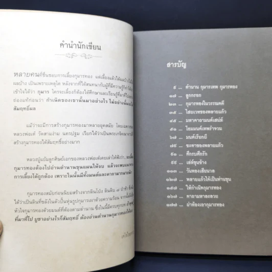 ตำนานกุมารทอง - เตโชไชยการ รูปที่ 9