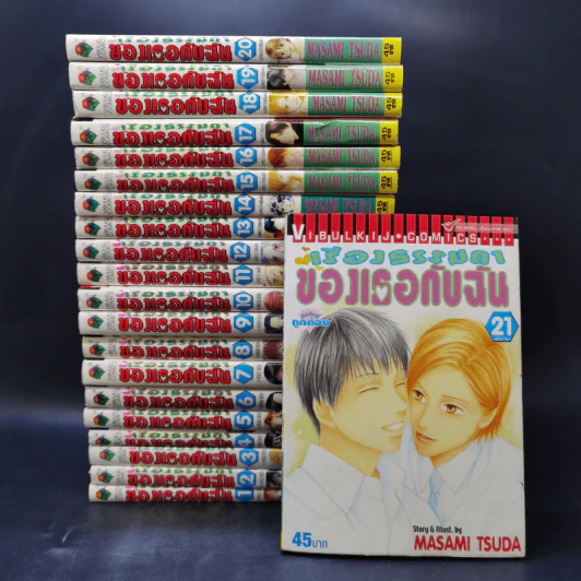 เรื่องธรรมดาของเธอกับฉัน 21 เล่มจบ รูปที่ 1