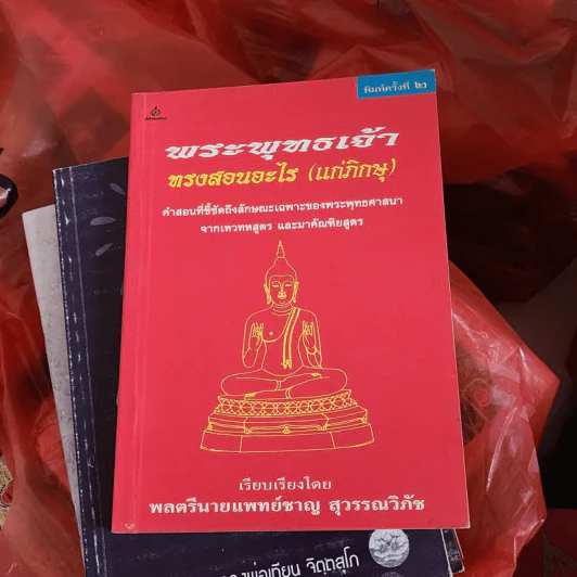 พระพุทธเจ้าทรงสอนอะไร (แก่ภิกษุ) - พลตรีนายแพทย์ชาญ สุวรรณวิภัช รูปที่ 1