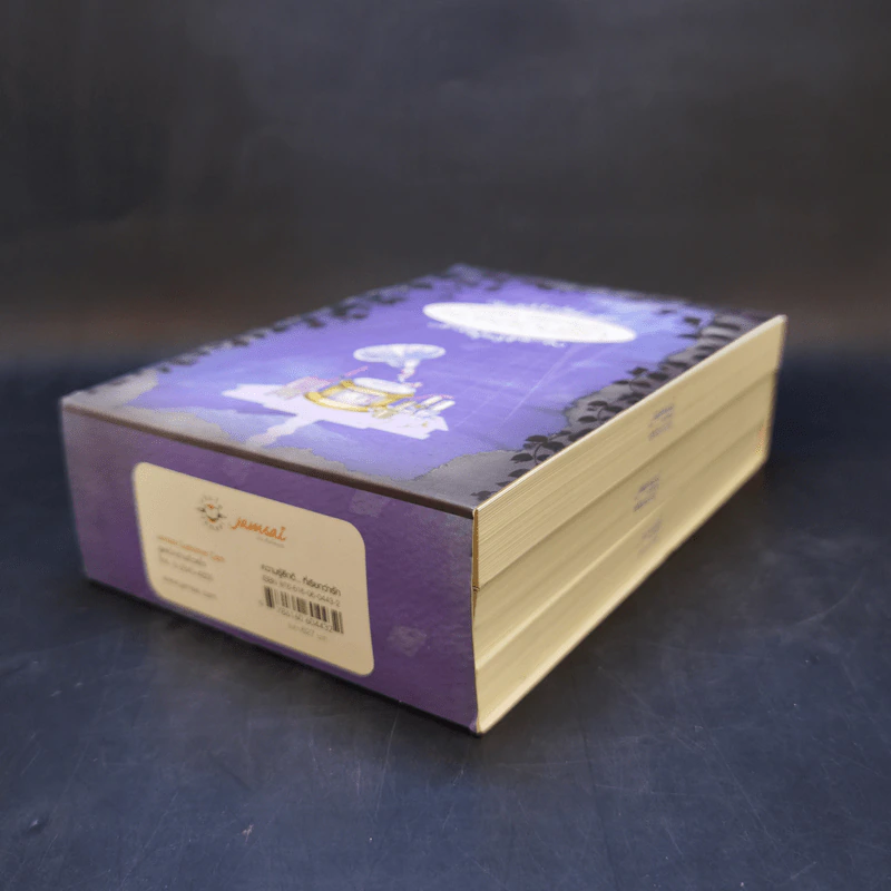 นิยายแจ่มใส Boxset ความรู้สึกดี ที่เรียกว่ารัก ชุด หอหลอนรัก 3 เล่ม รูปที่ 7