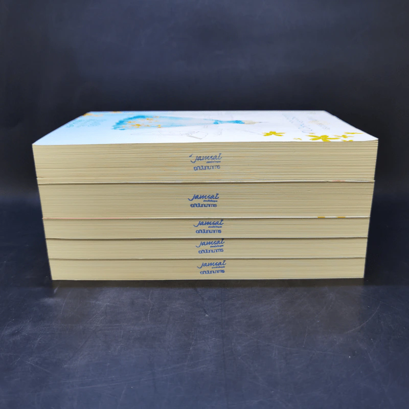 นิยายแจ่มใส Boxset ความรู้สึกดีที่เรียกว่ารัก แผนรักไม่จำกัดหัวใจ 5 เล่ม รูปที่ 7