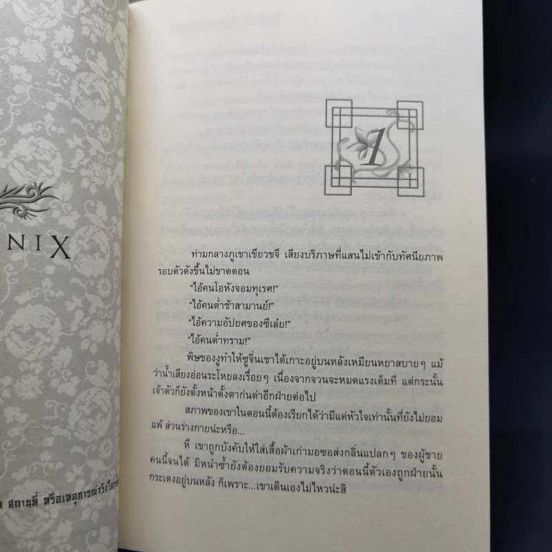 นิยายวาย ลำนำวิหคสวรรค์ 23 เล่ม - เฟิงน่ง, เฟื่อง รูปที่ 9