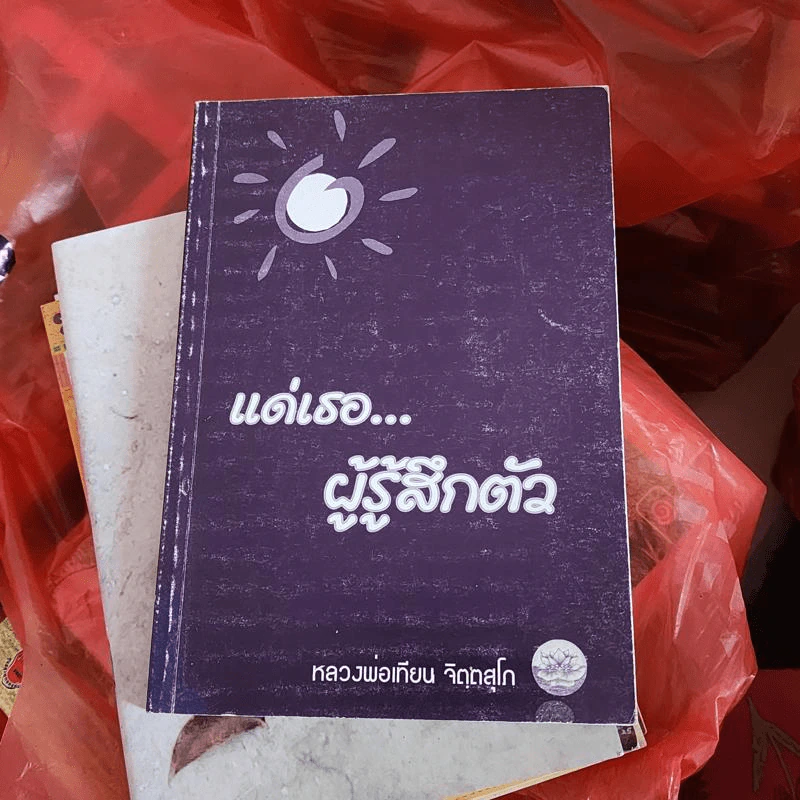 แด่เธอผู้รู้สึกตัว - หลวงพ่อเทียน จิตฺตสุโภ รูปที่ 1