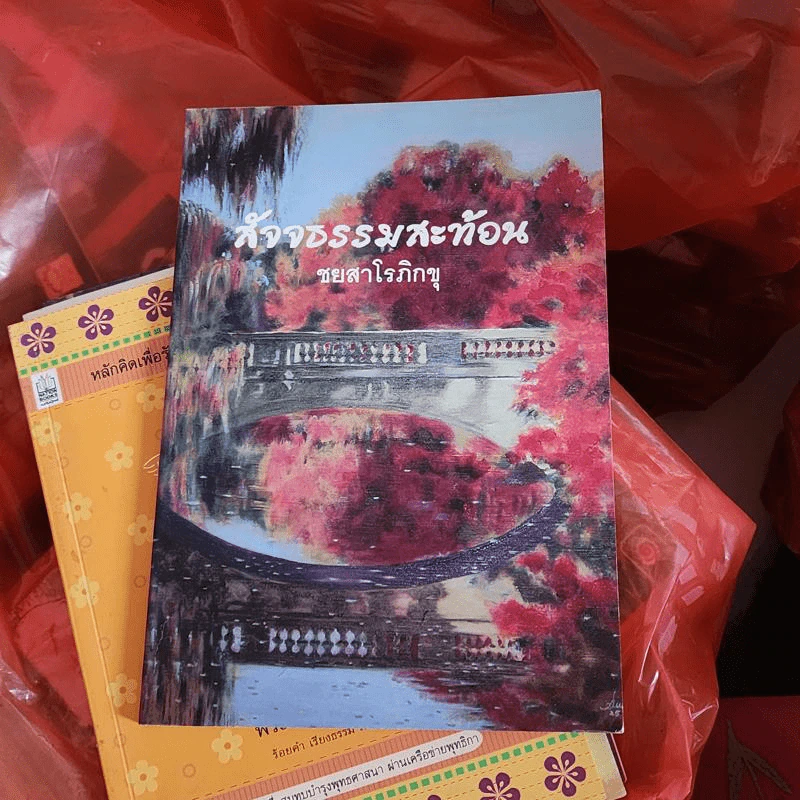 สัจจธรรมสะท้อน - ชยสาโรภิกขุ รูปที่ 1