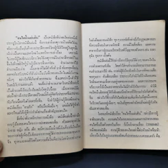 คนไททิ้งแผ่นดิน รูปที่ 8