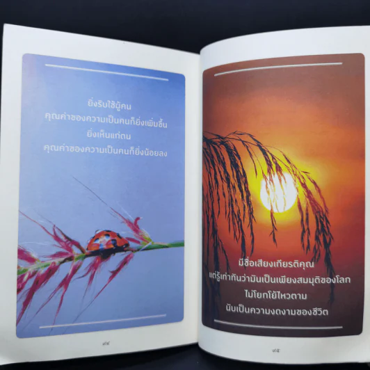 ยิ่งเรียบง่าย ยิ่งใกล้ความสุข - ว.วชิรเมธี รูปที่ 10