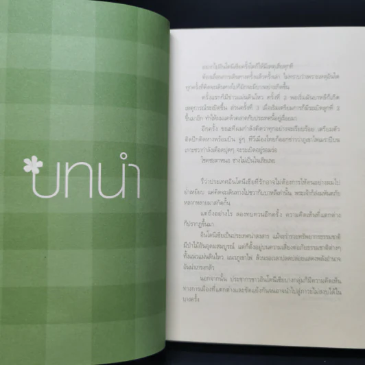 หลงเสน่ห์ที่ชวา ต้องมนตราที่บาหลี - กรินทร์ กรินทสุทธิ์ รูปที่ 10