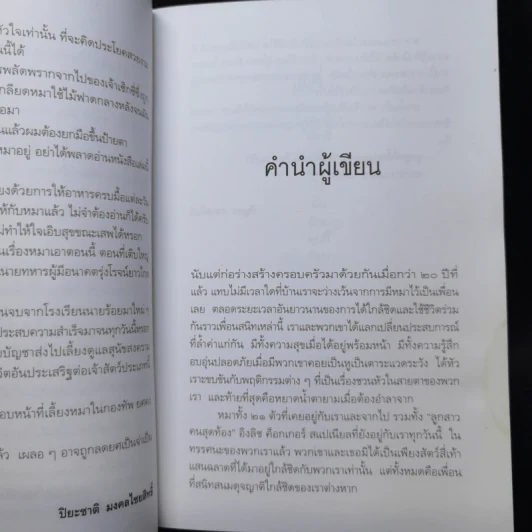หมารักคน - บัญชร ชวาลศิลป์ รูปที่ 9