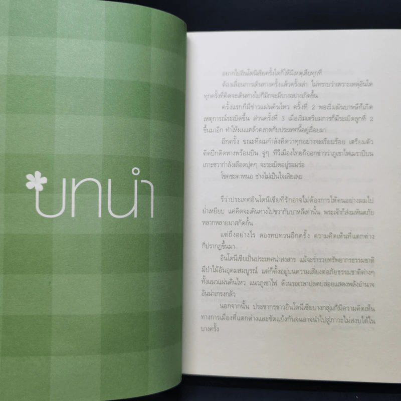 หลงเสน่ห์ที่ชวา ต้องมนตราที่บาหลี - กรินทร์ กรินทสุทธิ์ รูปที่ 10
