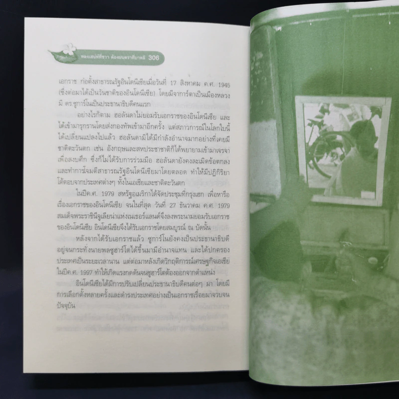 หลงเสน่ห์ที่ชวา ต้องมนตราที่บาหลี - กรินทร์ กรินทสุทธิ์ รูปที่ 12