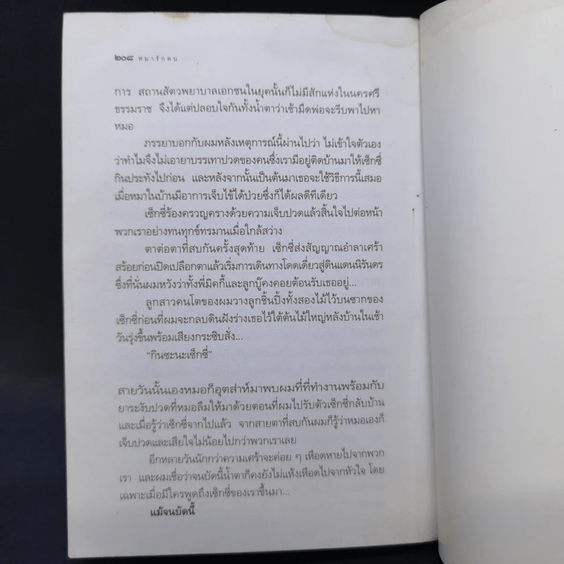 หมารักคน - บัญชร ชวาลศิลป์ รูปที่ 11