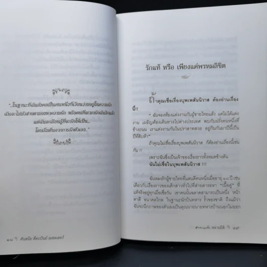 ความรักหลายมิติ - ศันสนีย ศีตะปันย์ เมอลเลอร์ รูปที่ 11