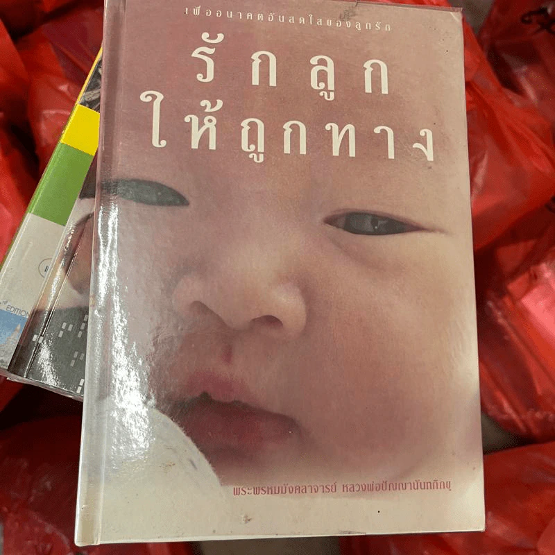 รักลูกให้ถูกทาง - พระพรหมมังคลาจารย์ หลวงพ่อปัญญานันทภิกขุ รูปที่ 1