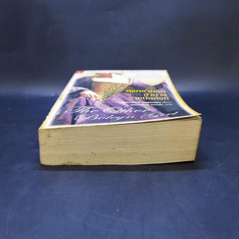 สงครามรัก อำนาจ ราชบัลลังก์ - Philippa Gregory รูปที่ 4