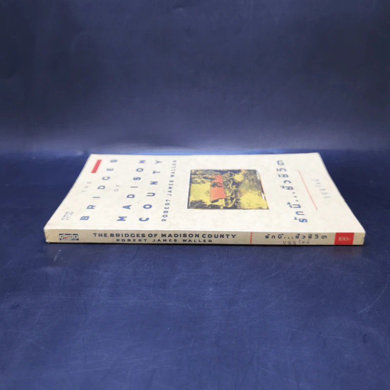 รักนี้...ชั่วชีวิต The Bridge of Madison County - Robert James Waller รูปที่ 3