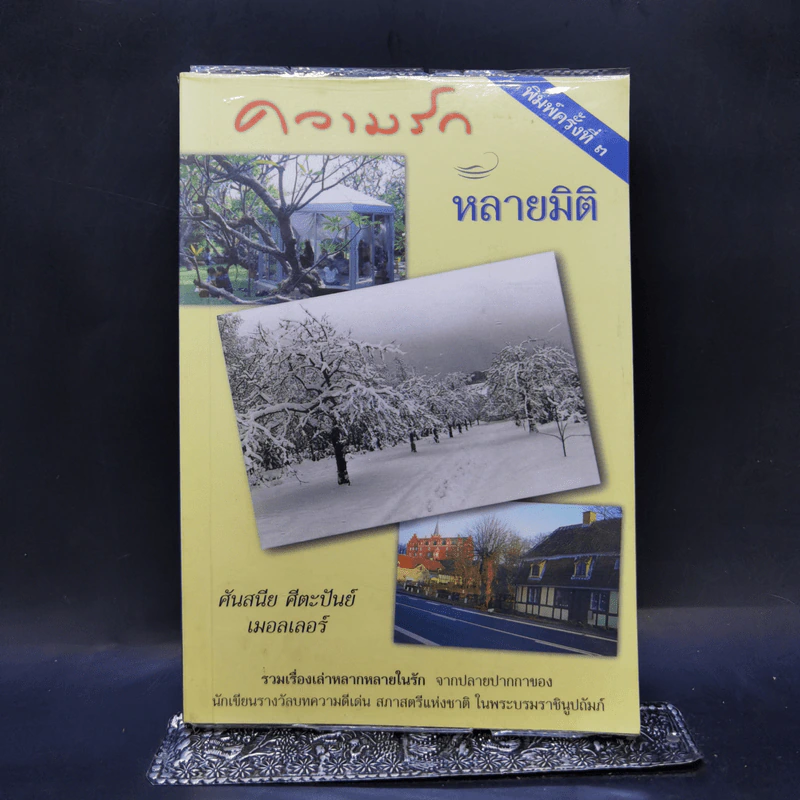 ความรักหลายมิติ - ศันสนีย ศีตะปันย์ เมอลเลอร์ รูปที่ 1