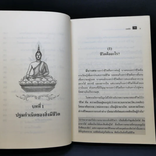 พระสัพพัญญุตญาณเหนือจักรวาล เล่ม 2-3 - เจตสิก รูปที่ 10