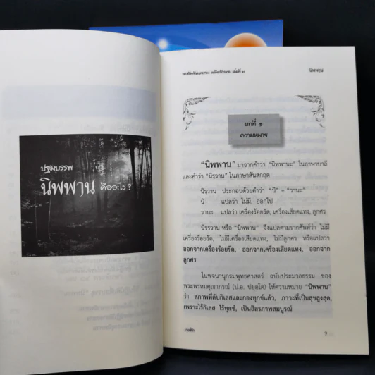 พระสัพพัญญุตญาณเหนือจักรวาล เล่ม 2-3 - เจตสิก รูปที่ 14