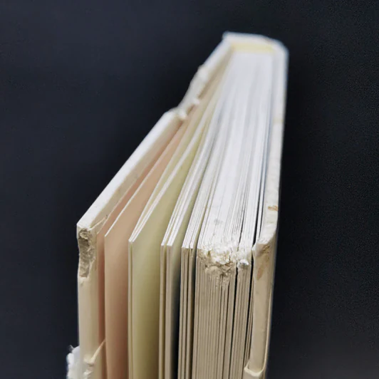 หนังสือชุด Sasi's Sketch Book 28 days in Europe PRAGUE , CESKY KRUMLOV + BUDAPEST, BRATISLAVA - ศศิ วีระเศรษฐกุล รูปที่ 15