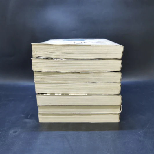 บิเบลีย บันทึกไขปริศนาแห่งร้านหนังสือ เล่ม 1-7 - เอน มิคามิ รูปที่ 5
