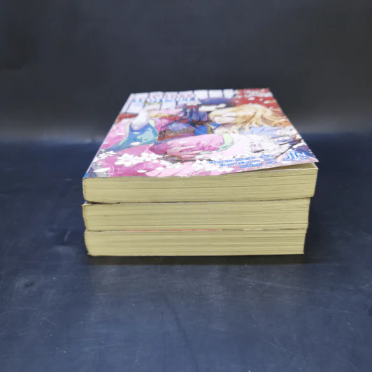 นิยายแจ่มใส เจ้าสาวมังกรขาว 3 เล่มจบ - Nagano Mizuki รูปที่ 3