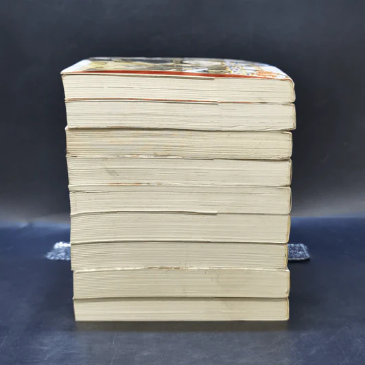 ผู้พิทักษ์สวน โมจิซึกิ โซชิโร่ มาแล้ว! เล่ม 1-10 - เซย์กะ นากาเระ รูปที่ 5