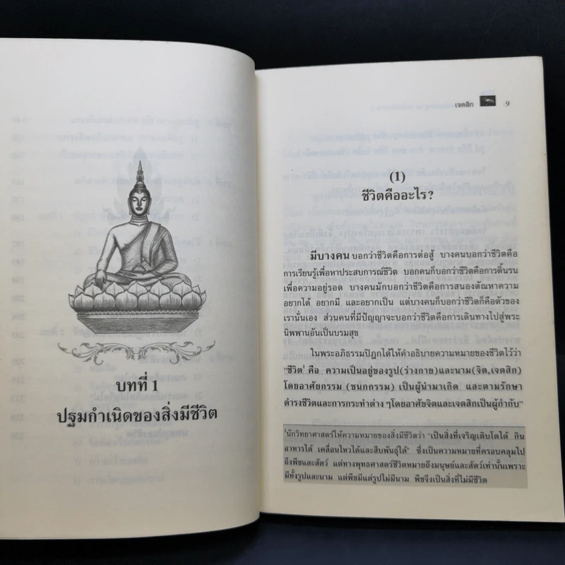 พระสัพพัญญุตญาณเหนือจักรวาล เล่ม 2-3 - เจตสิก รูปที่ 10