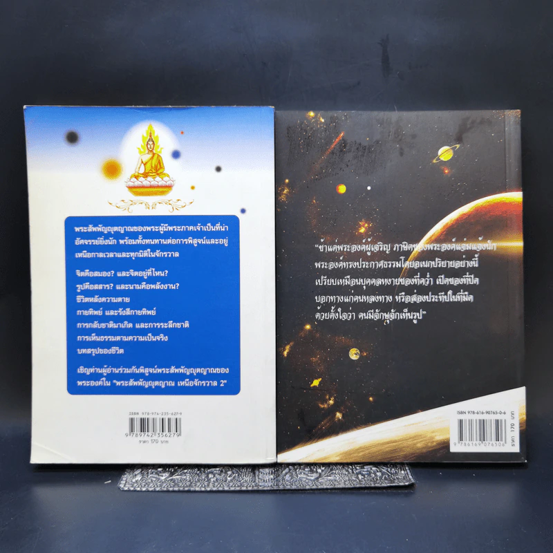 พระสัพพัญญุตญาณเหนือจักรวาล เล่ม 2-3 - เจตสิก รูปที่ 2