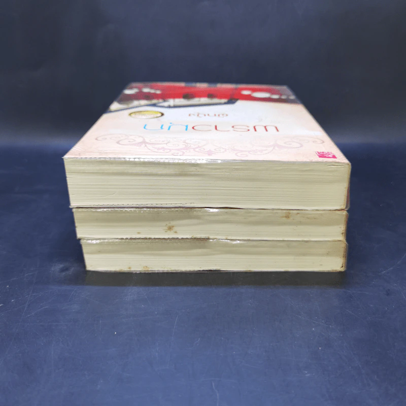 พลอยบุษย์ - เตชิตา + แพรทับทิม - ลิซ + พราวมุก - ผักบุ้ง รูปที่ 5