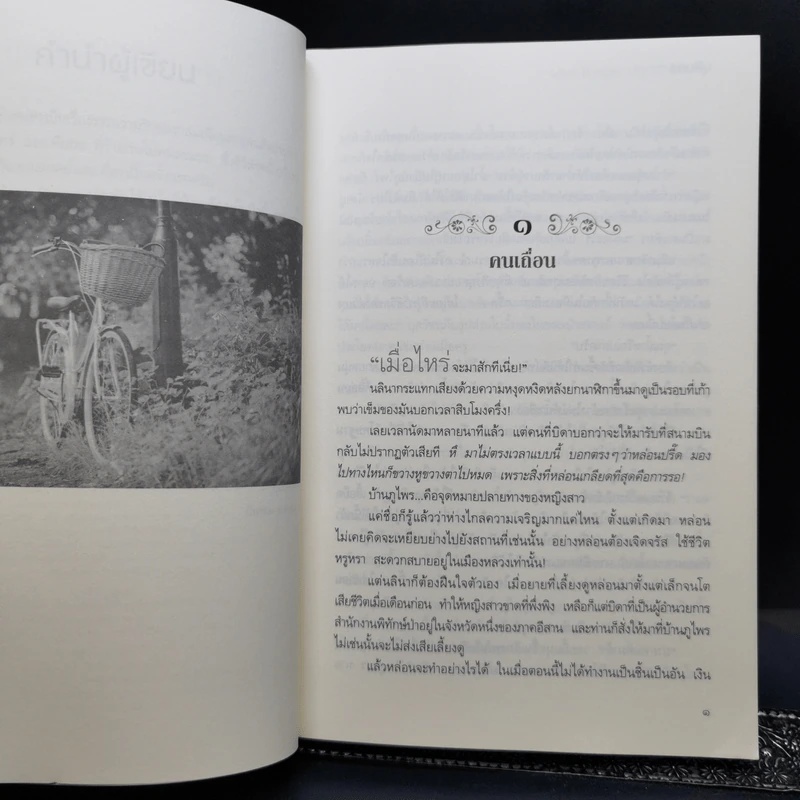 ปลูกรักใต้เงาใจ - บุลินทร + โอบพสุธาด้วยรัก - คีตา รูปที่ 9