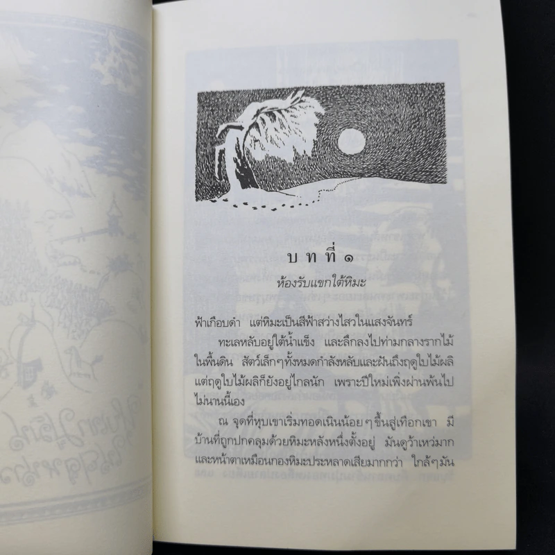 บันทึกมูมิน + ฤดูร้อนมูมิน + เมืองมูมินกลางฤดูหนาว - ตูเว ยานซอน รูปที่ 14