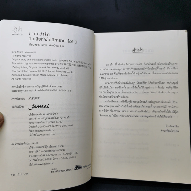 นิยายแจ่มใสจีน ตื่นเสียทีจะไม่มีทายาทแล้ว! 3 เล่มจบ - เทียนหรูอวี้ รูปที่ 9
