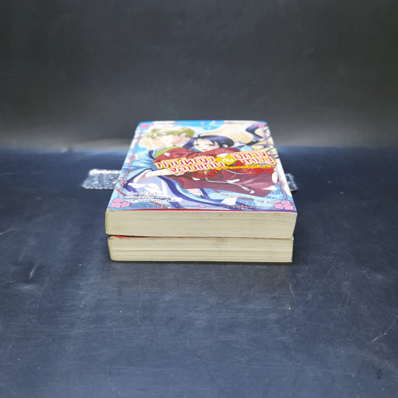 ท่านหญิงจอมแก่นกับปีศาจเทนงู เล่ม 1-2 รูปที่ 4