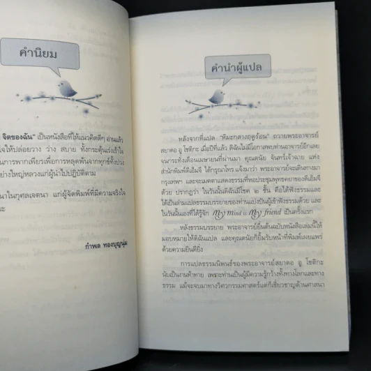 เพื่อนสนิทจิตของฉัน - พระโชติกะ รูปที่ 10