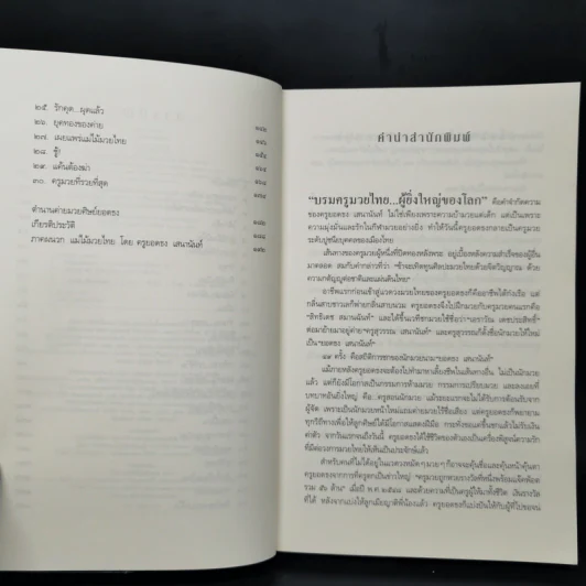 กำปั้นนอกสังเวียน - ยอดธง เสนานันท์ รูปที่ 9