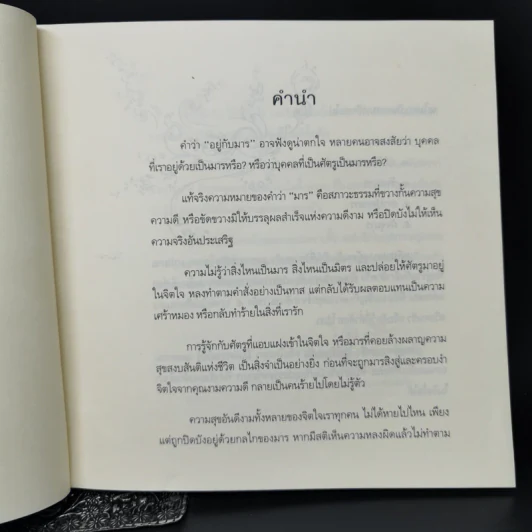 อยู่กับมาร อย่างดื่มด่ำในน้ำหวานด้วยความเคารพ รูปที่ 9