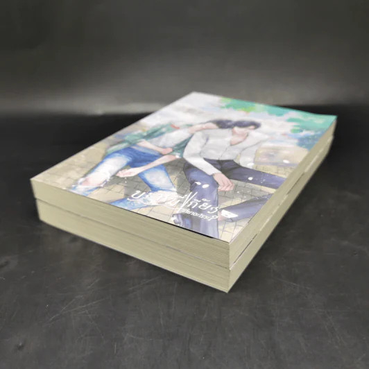 นิยายวาย บะหมี่เกี๊ยวเกี่ยวอะไรวะ? 2 เล่มจบ - Ruk21us รูปที่ 6