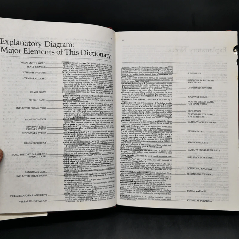 Webster's II New Riverside University Dictionary รูปที่ 10
