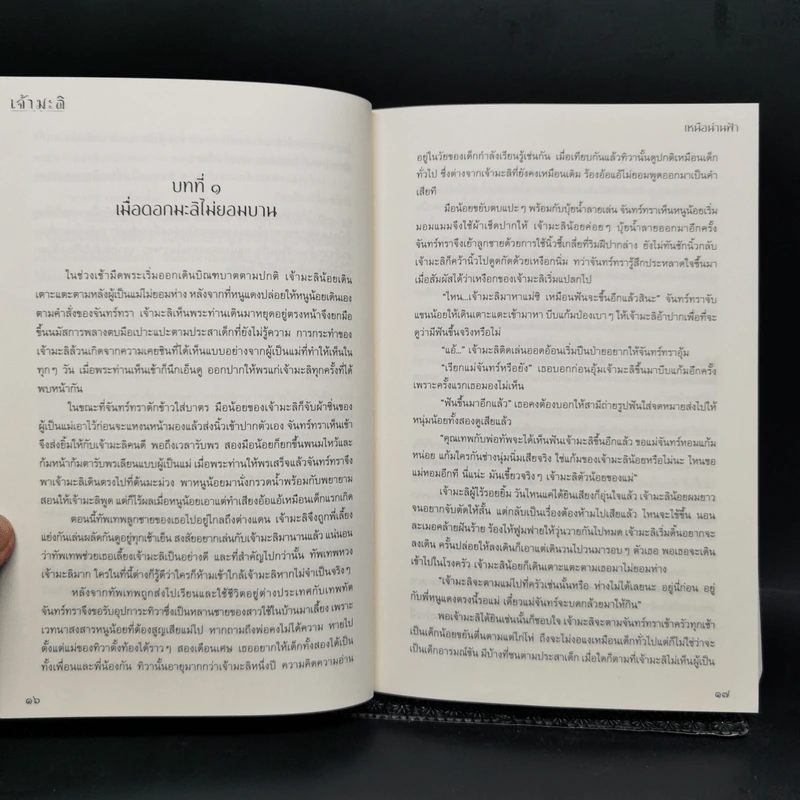 นิยายวาย เจ้ามะลิ 2 เล่มจบ + เจ้ามะลิ Special Mpreg - เหนือน่านฟ้า รูปที่ 8