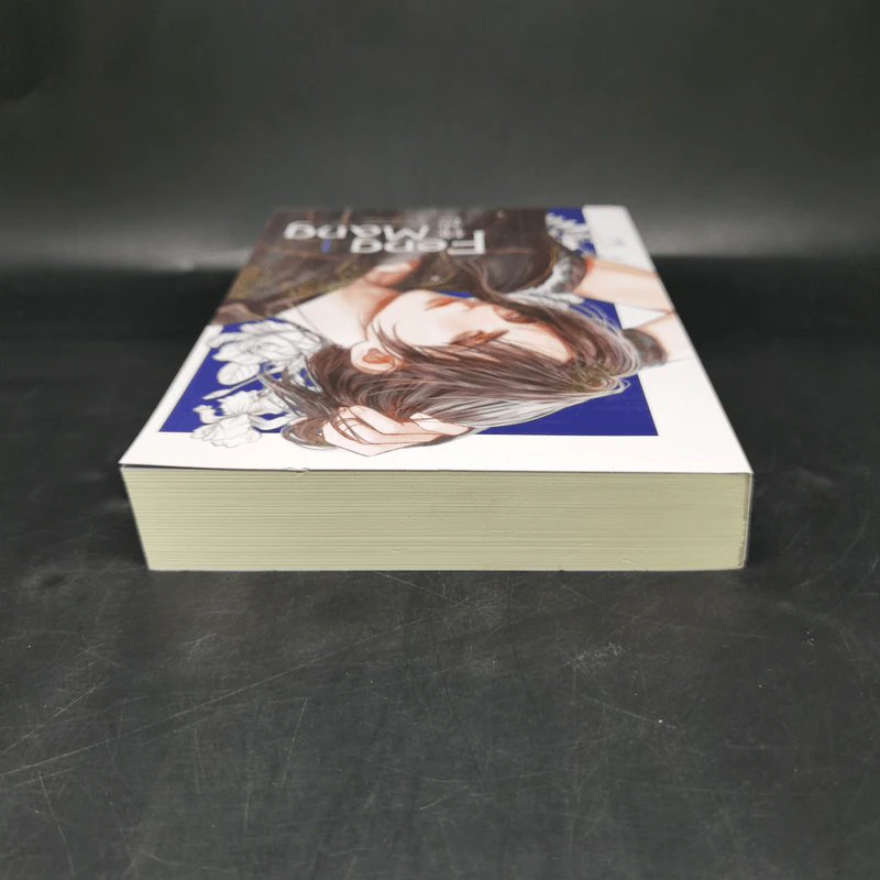 นิยายวาย Feng Mang เล่ม 1 - Chai ji dan รูปที่ 6